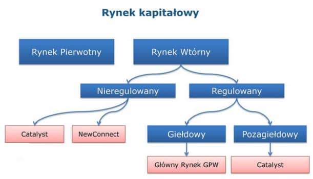 podział rynku kapitałowego