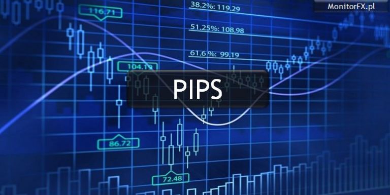 Co to jest 1 Pips na rynku Forex ?