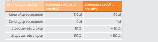 Przykładowe stopy zwrotu inwestycji w akcje i inwestycji w opcje na