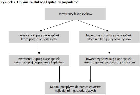 Optymalna alokacja kapitału w gospodarce