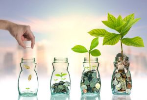 pieniądze inwestycje