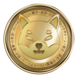 shiba inu coin na białym tle